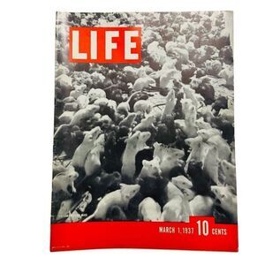 Vintage Life Magazine: March 1 1937 - 274 Laboratory Mice